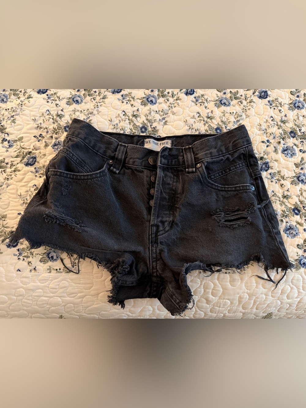 Free People We The Free Black Denim Shorts
